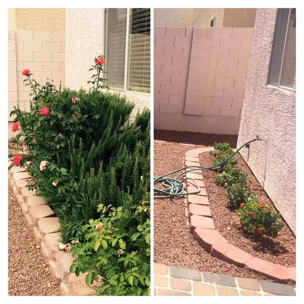 Reliable lawn mowing service for homes in Las Vegas, NV by PD Landscaping
