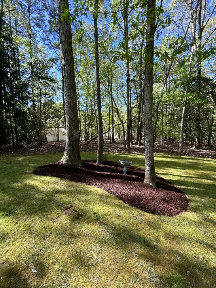 Reliable landscaping services in Youngsville, NC - PD Property Management