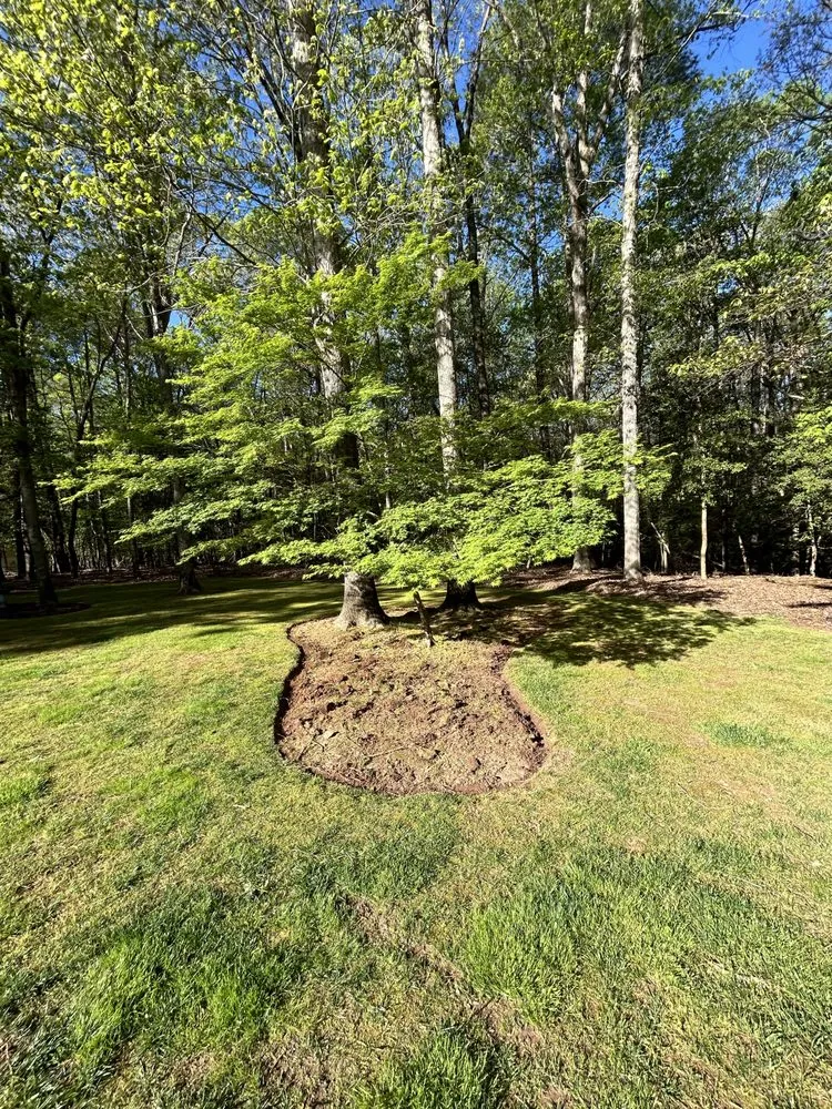 Trusted landscape design for homes in Youngsville, NC by PD Property Management