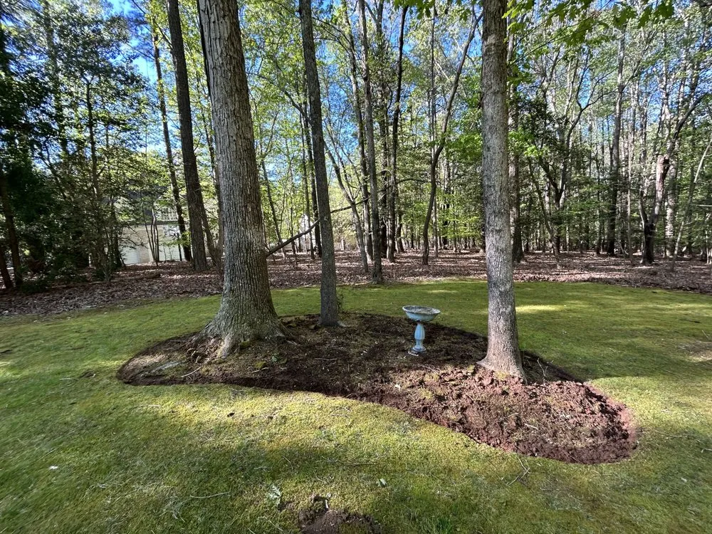 Reliable landscape installation for residential properties across Youngsville, NC - PD Property Management