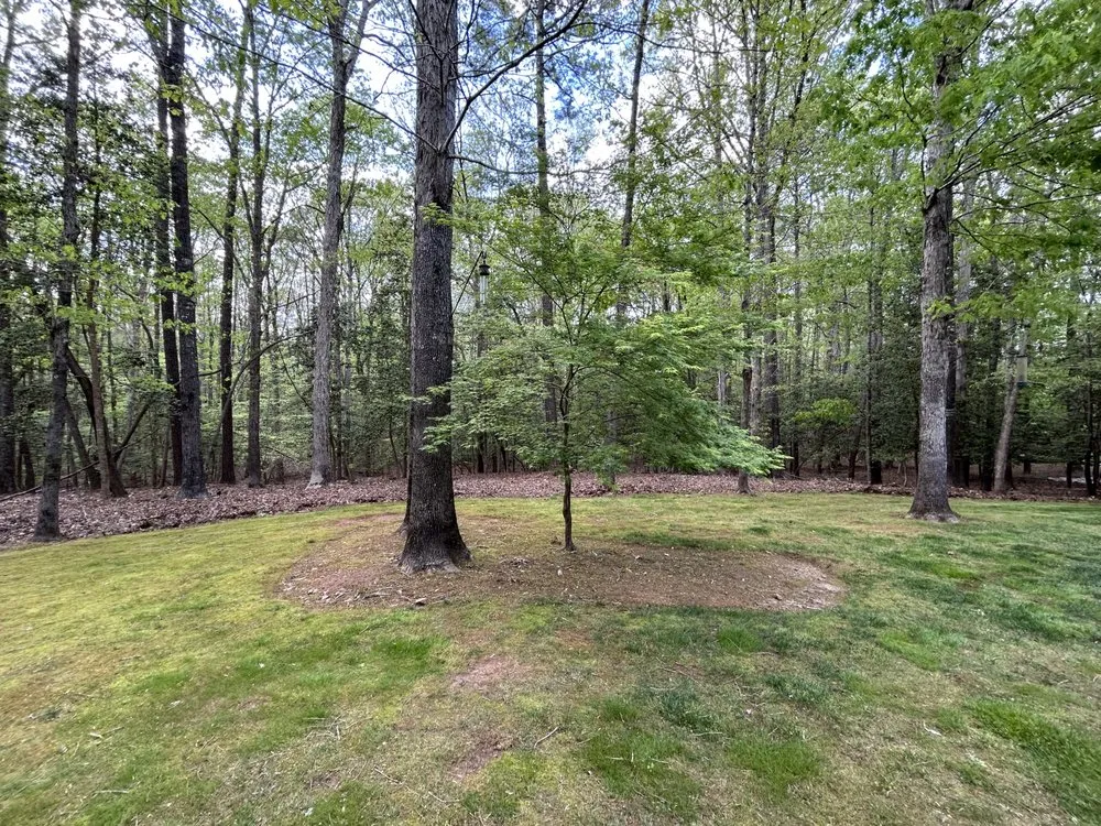 Professional landscape design near you across Youngsville, NC - PD Property Management