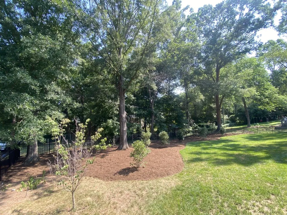 Local yard cleanup service in Youngsville, NC by PD Property Management