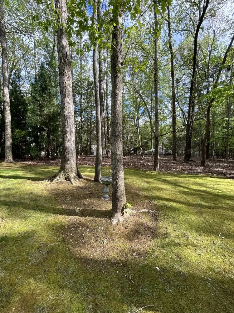 Trusted landscaping services experts serving Youngsville, NC - PD Property Management