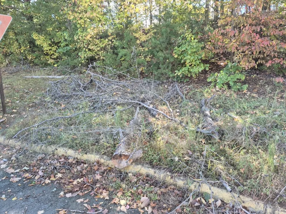 Affordable lawn care service in Fredericksburg, VA by PD Services