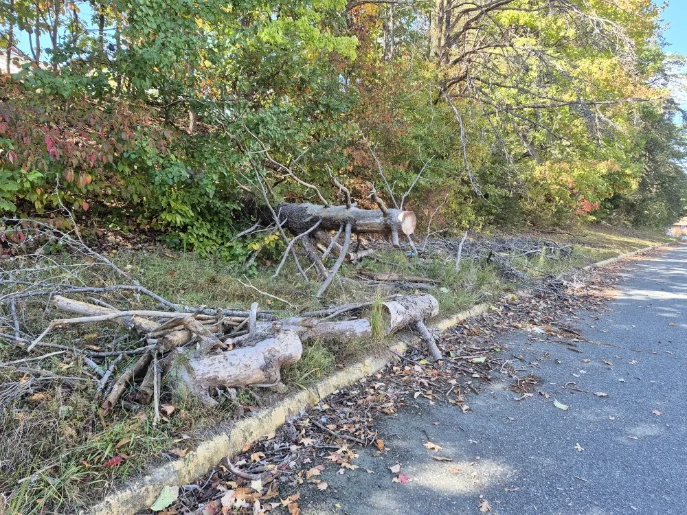 Local lawn care service for beautiful yards across Fredericksburg, VA - PD Services