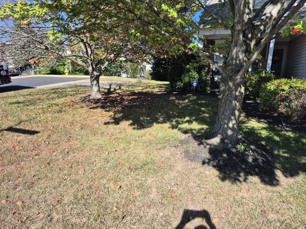 Affordable landscape installation near you in Fredericksburg, VA by PD Services