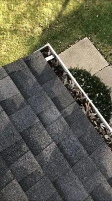 Pdawg’s Gutter/Handyman Service