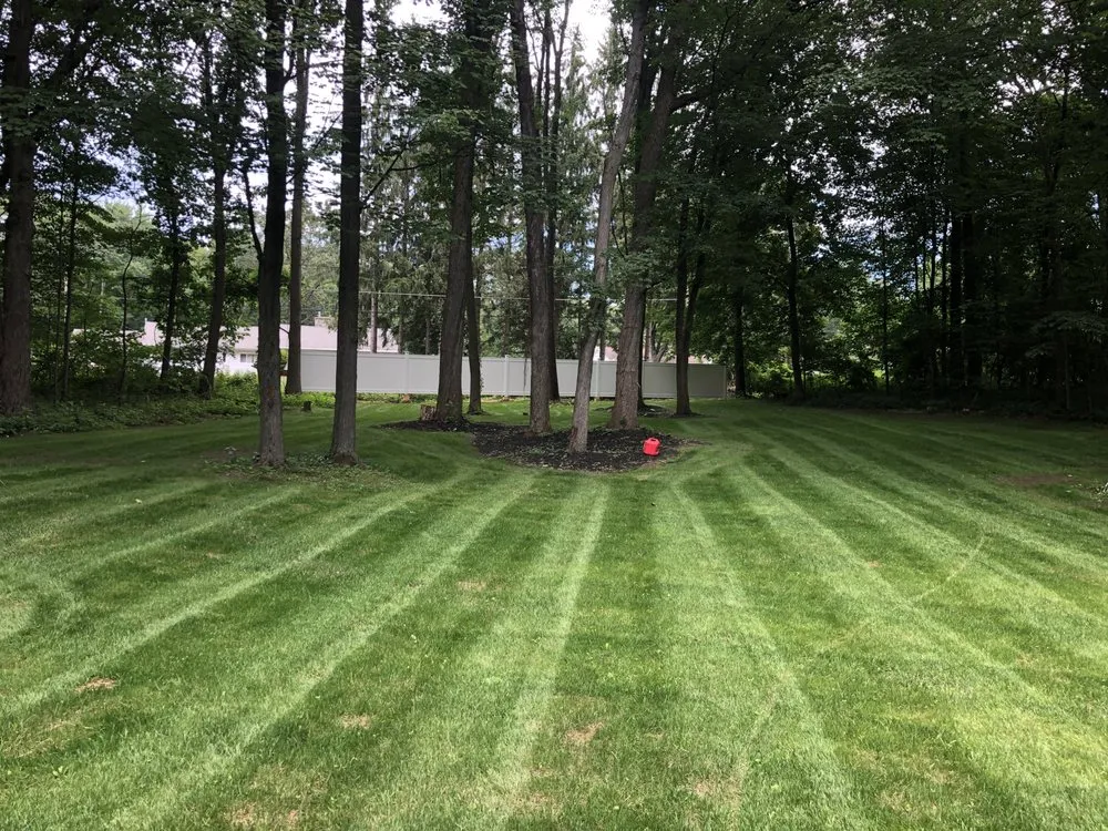 Expert yard cleanup service in Ballston Lake, NY - PD&J Landscaping