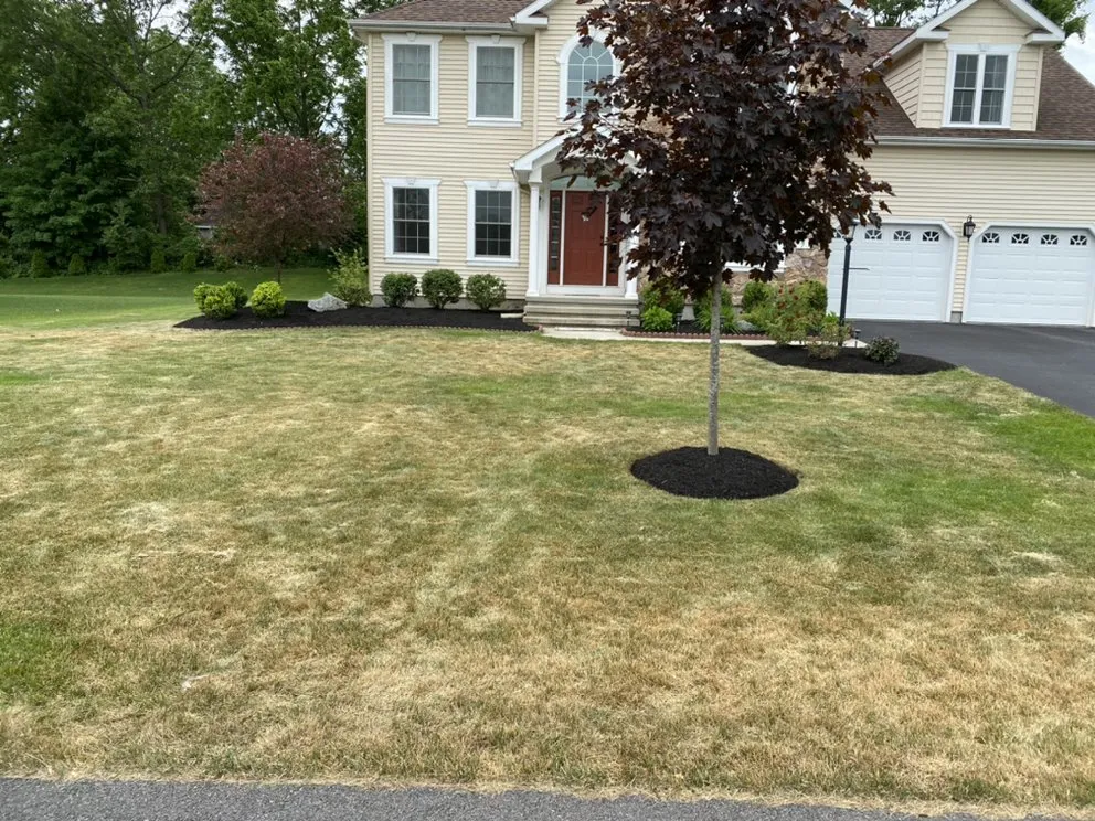 Top-rated yard maintenance near you in Ballston Lake, NY by PD&J Landscaping