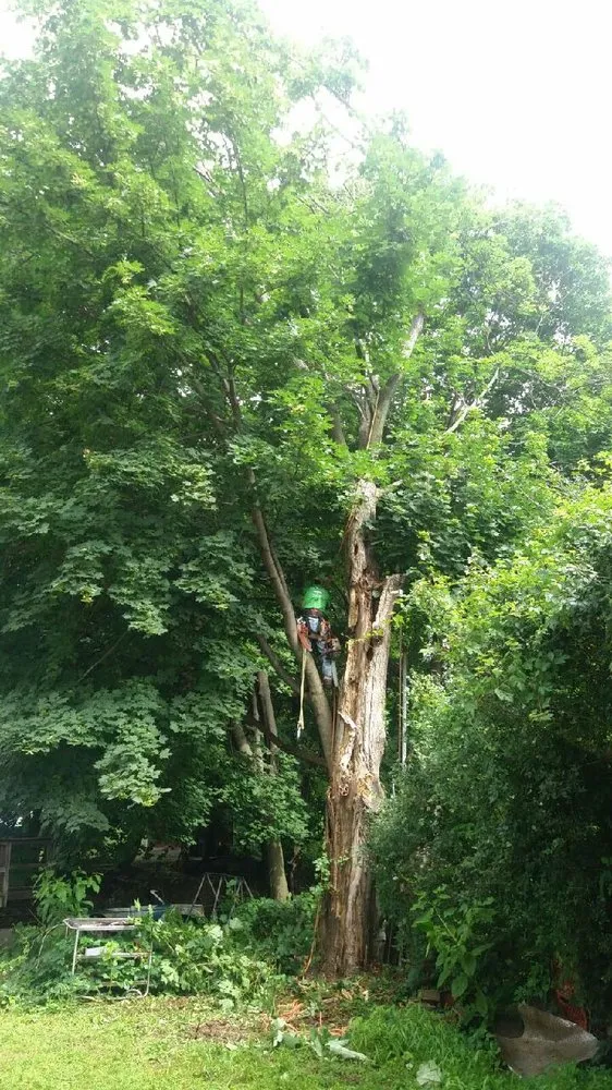 Expert garden landscaping for beautiful yards in Philipstown, NY by PDM Landscaping & Tree Care