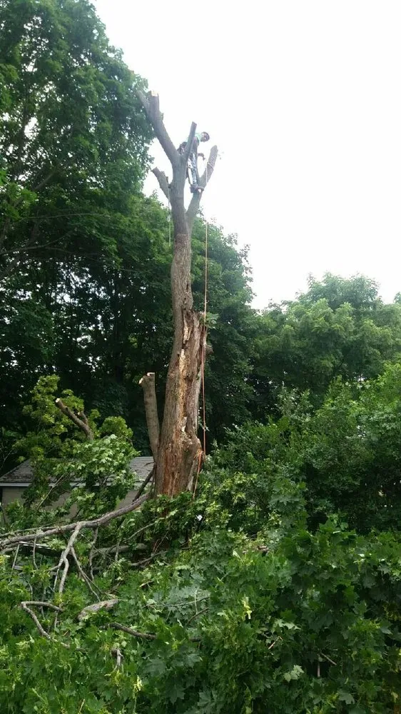 Trusted residential landscaping for residential properties in Philipstown, NY by PDM Landscaping & Tree Care