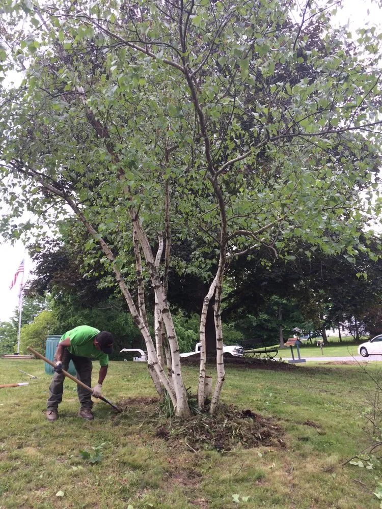 Top-rated yard cleanup service for beautiful yards across Philipstown, NY - PDM Landscaping & Tree Care