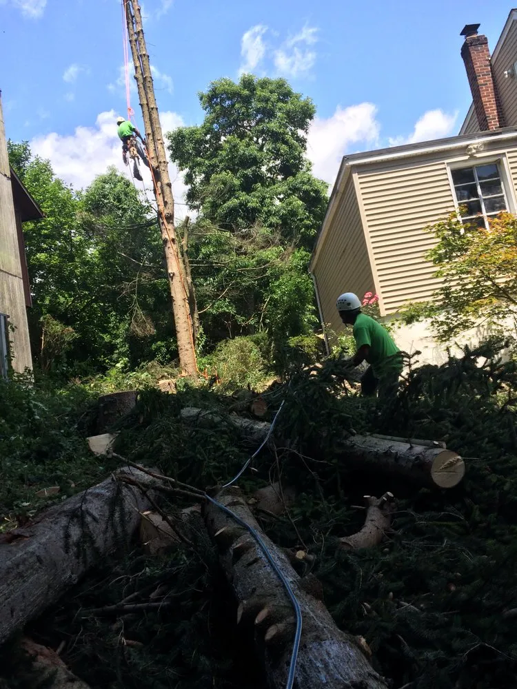 Custom residential landscaping with custom design in Philipstown, NY by PDM Landscaping & Tree Care