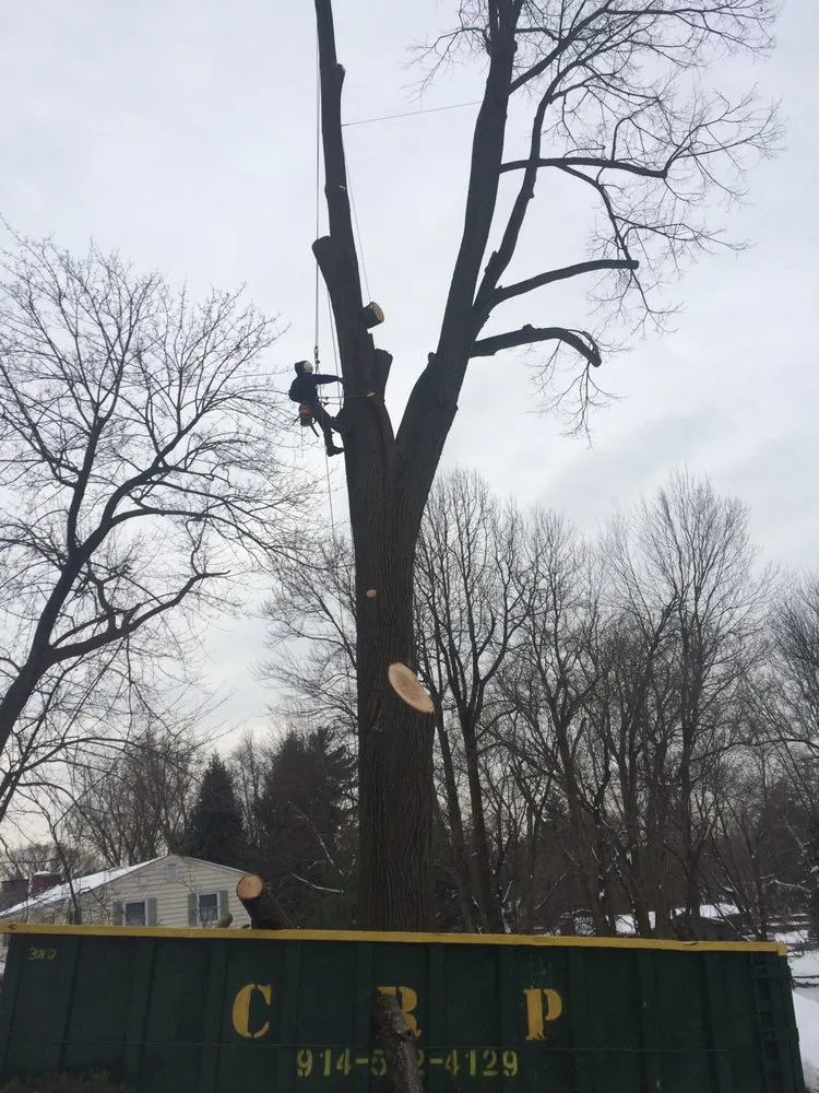 Reliable landscape design in Philipstown, NY by PDM Landscaping & Tree Care