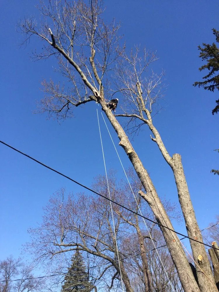 Expert yard cleanup service for year-round maintenance in Philipstown, NY by PDM Landscaping & Tree Care
