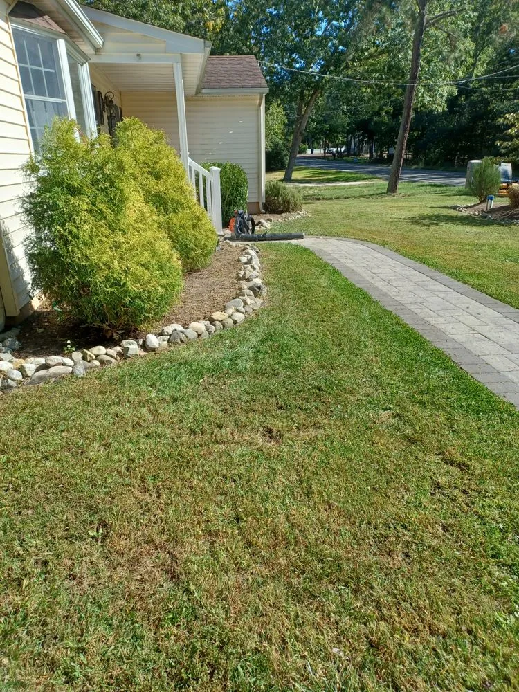 Affordable yard cleanup service in Tuckerton, NJ - PDM Landscaping
