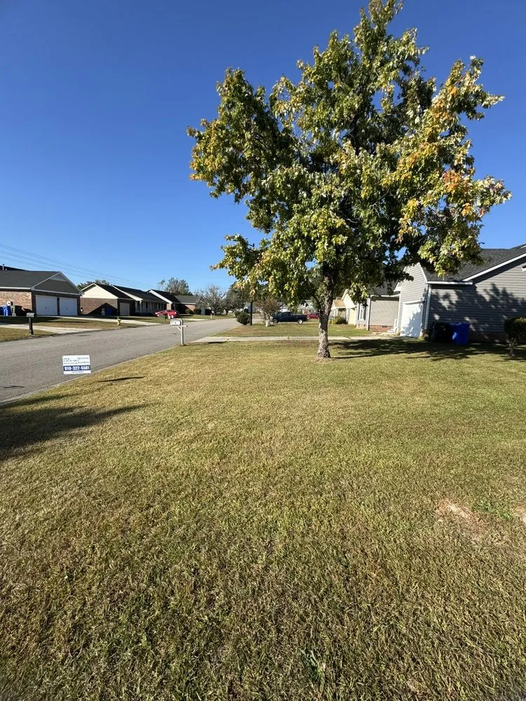 Expert yard cleanup service for beautiful yards across Fayetteville, NC - PDM Powerwashing & Lawncare