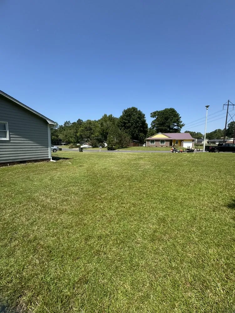 Professional yard maintenance in Fayetteville, NC - PDM Powerwashing & Lawncare