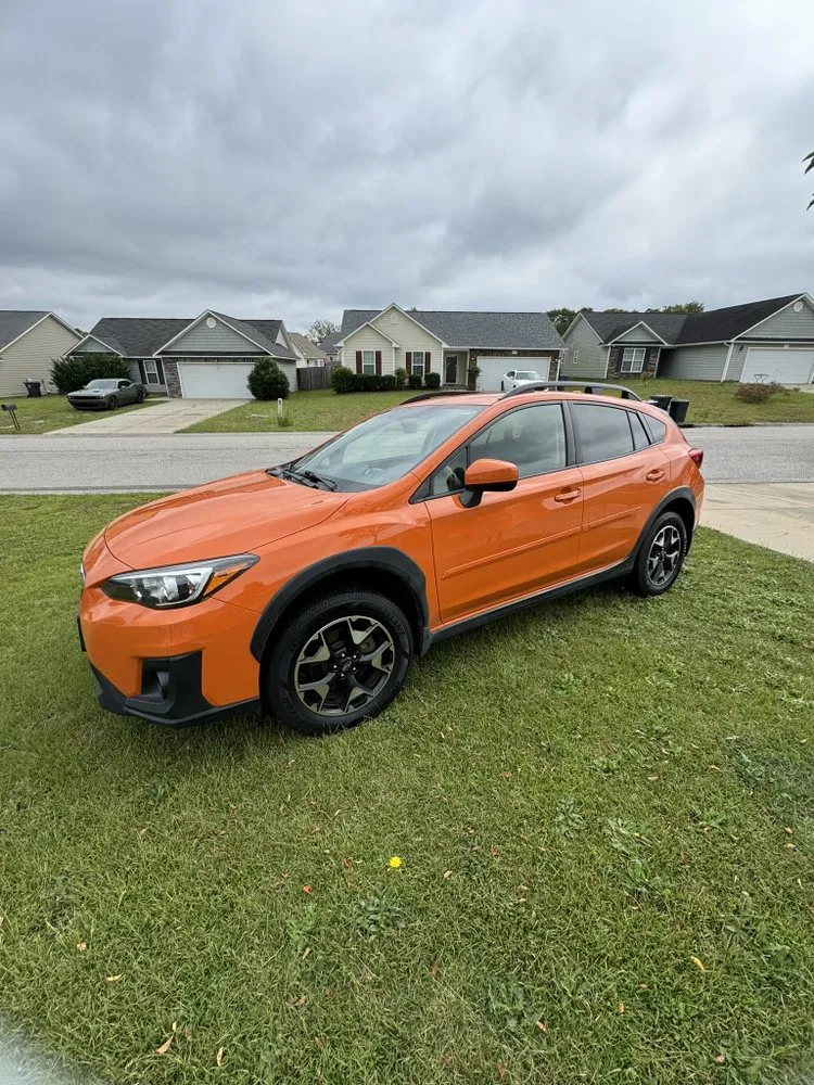 Top-rated yard cleanup service for beautiful yards across Fayetteville, NC - PDM Powerwashing & Lawncare