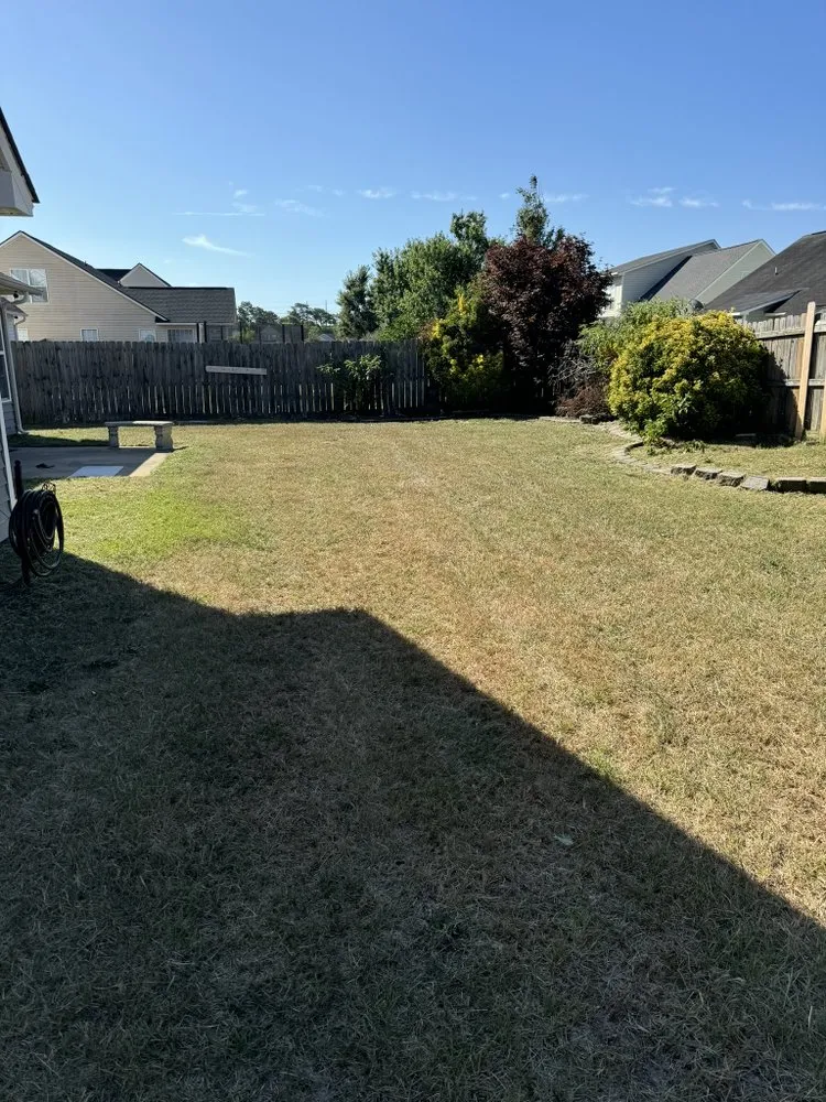 Affordable landscape design in Fayetteville, NC - PDM Powerwashing & Lawncare