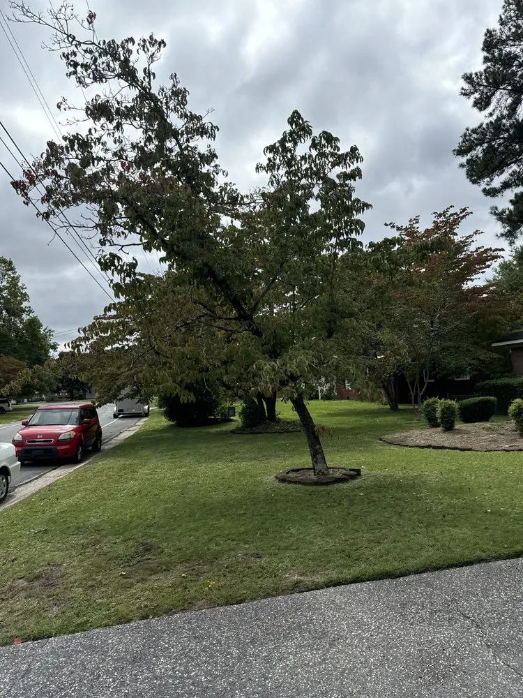 Top-rated yard cleanup service for year-round maintenance in Fayetteville, NC by PDM Powerwashing & Lawncare