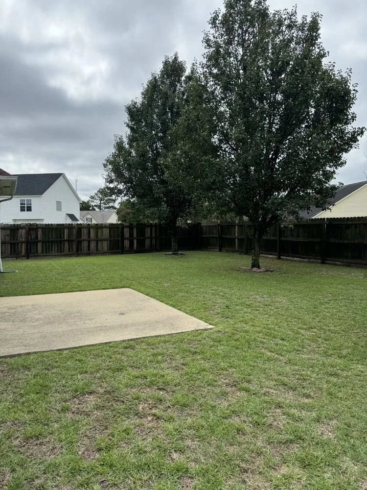 Professional lawn care service in Fayetteville, NC - PDM Powerwashing & Lawncare
