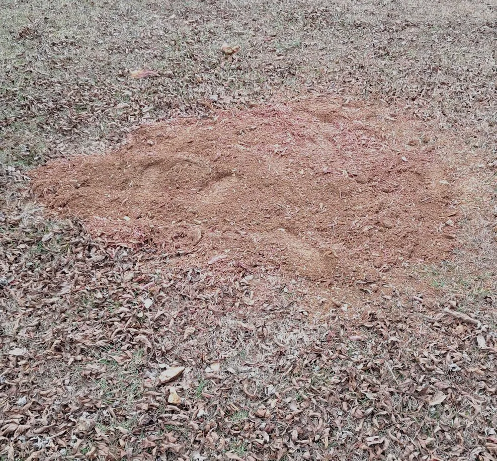 Trusted landscape installation experts serving Shelby, NC - PDQ Property Services