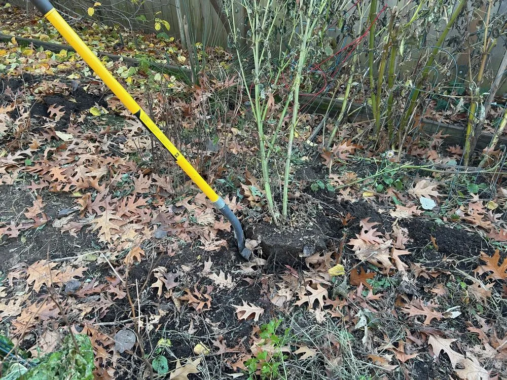 Top-rated landscaping services in Portland, OR - PDX Lawncare & Handyman