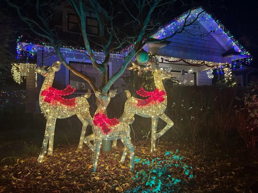 Trusted lawn mowing service for outdoor upgrades in Portland, OR by PDX Lawncare & Handyman