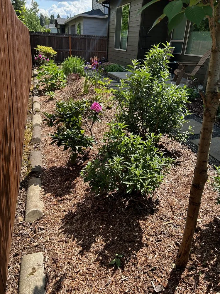 Top-rated residential landscaping near you in Portland, OR by PDX Lawncare & Handyman