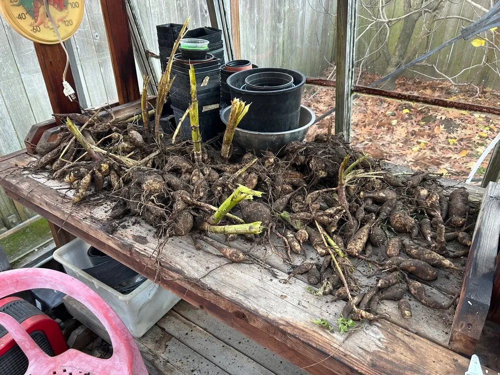 Local landscape design experts serving Portland, OR - PDX Lawncare & Handyman