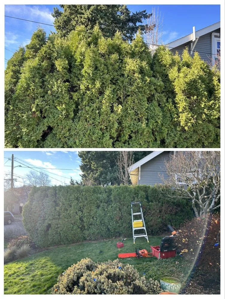 Local yard maintenance in Gladstone, OR by PDX Outdoor Living Landscape