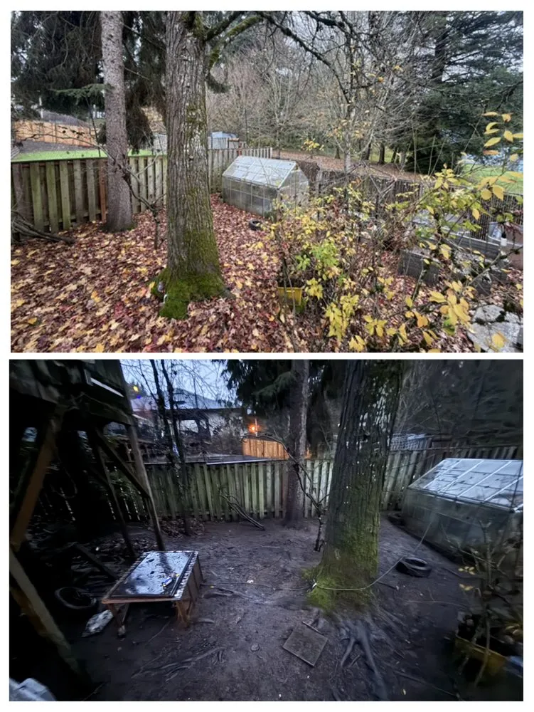 Local yard cleanup service in Gladstone, OR - PDX Outdoor Living Landscape