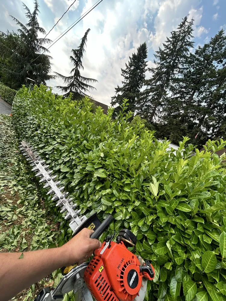 Reliable garden landscaping experts serving Gladstone, OR - PDX Outdoor Living Landscape