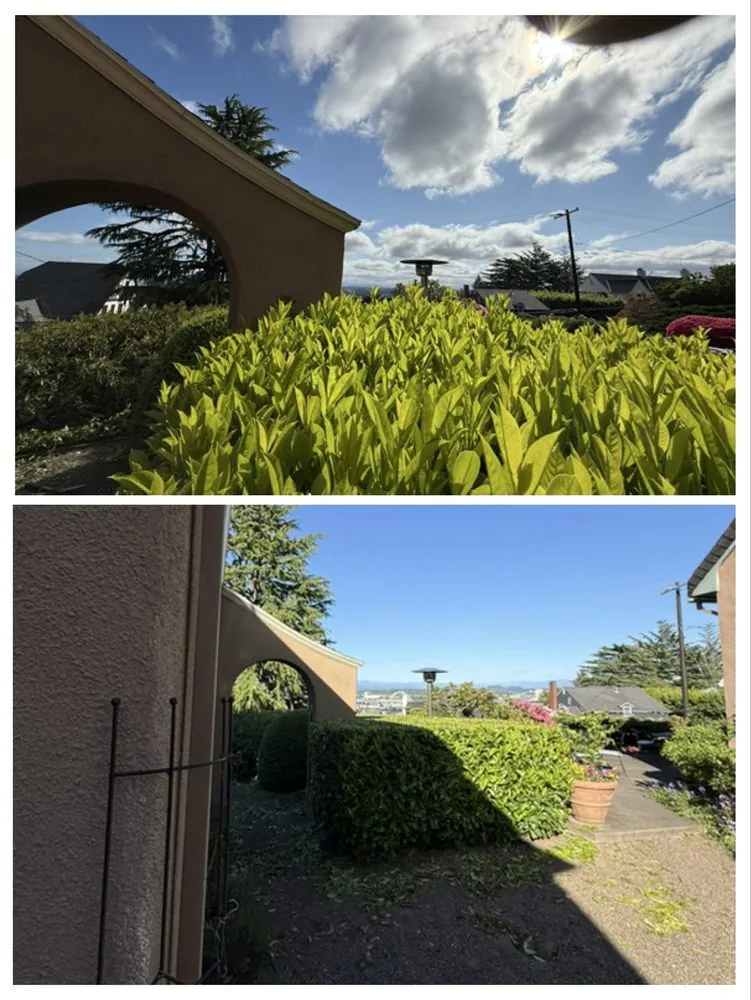 Trusted outdoor landscaping experts serving Gladstone, OR - PDX Outdoor Living Landscape