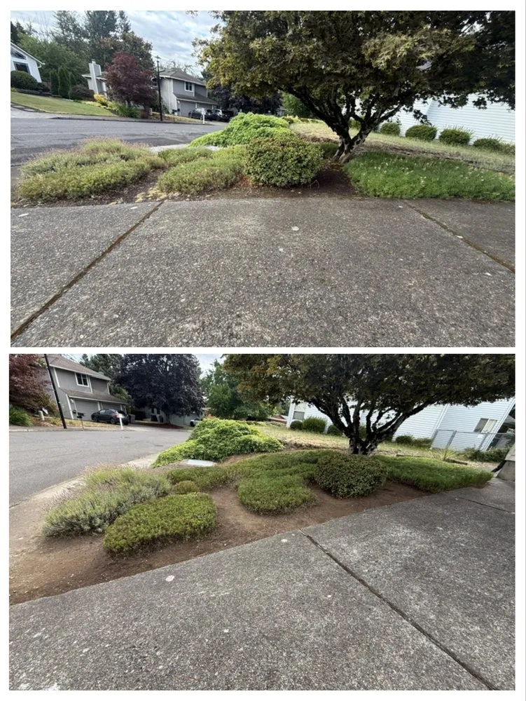 Top-rated yard maintenance in Gladstone, OR by PDX Outdoor Living Landscape