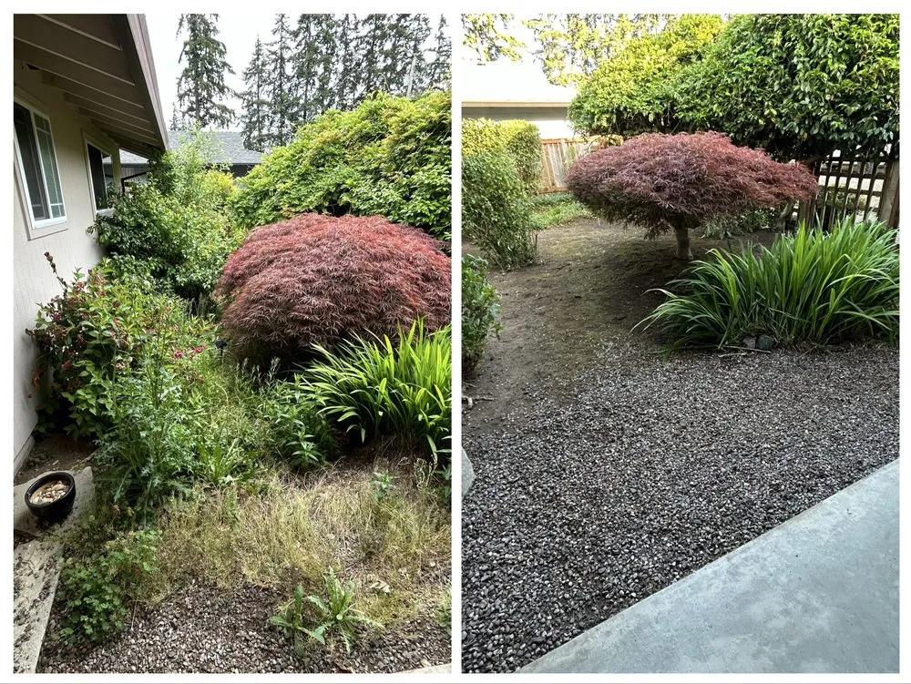 Professional landscaping services in Gladstone, OR by PDX Outdoor Living Landscape
