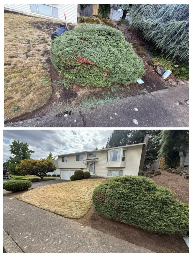 Expert landscape design for outdoor upgrades in Gladstone, OR by PDX Outdoor Living Landscape