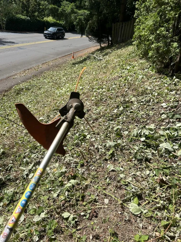 Custom yard maintenance in Gladstone, OR by PDX Outdoor Living Landscape