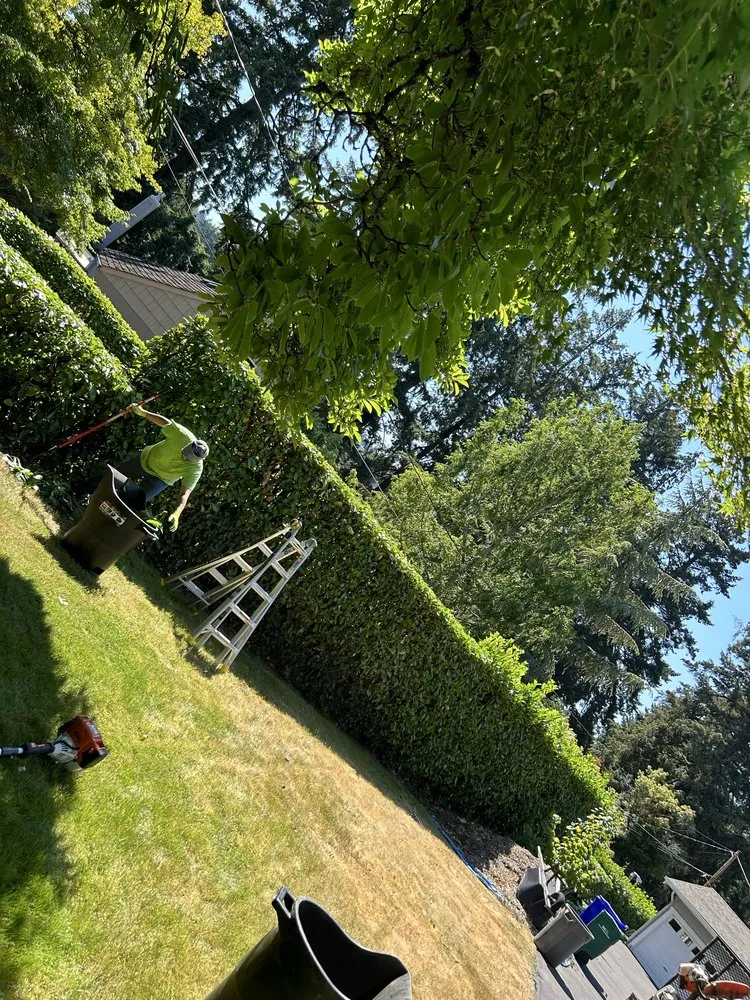 Affordable lawn care service in Gladstone, OR - PDX Outdoor Living Landscape