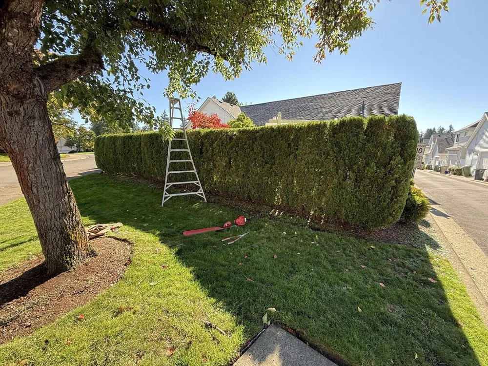 Top-rated lawn care service for homes in Gladstone, OR by PDX Outdoor Living Landscape