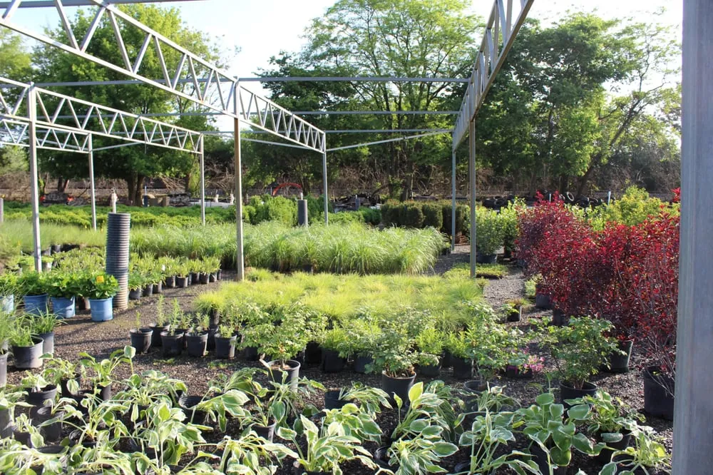 Affordable lawn care service experts serving Columbus, OH - Peabody Landscape Group