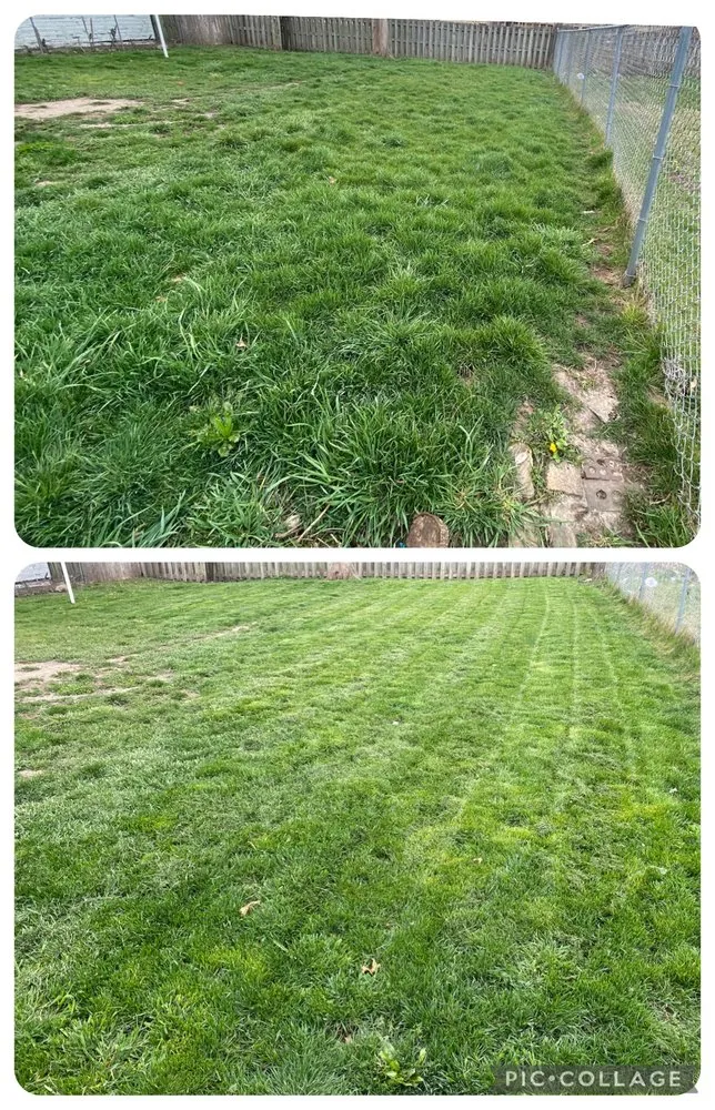 Expert lawn mowing service in Beloit, WI - Peace Cleaning and Maintenance