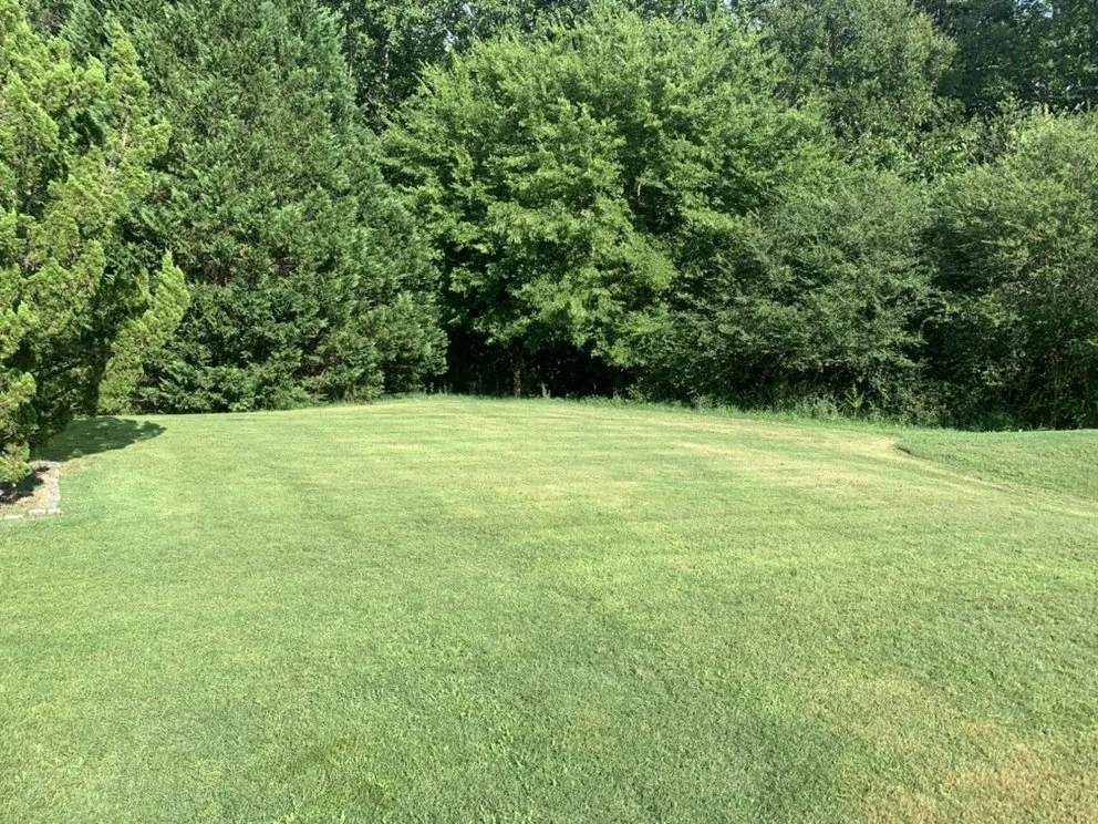 Expert outdoor landscaping with custom design across Garner, NC - Peace Lawn Care