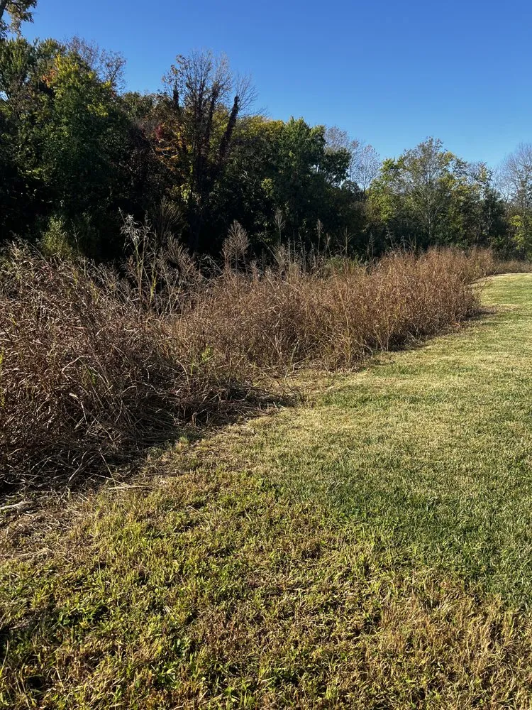 Custom landscaping services for homes across Bowling Green, KY - Peace Of Mind