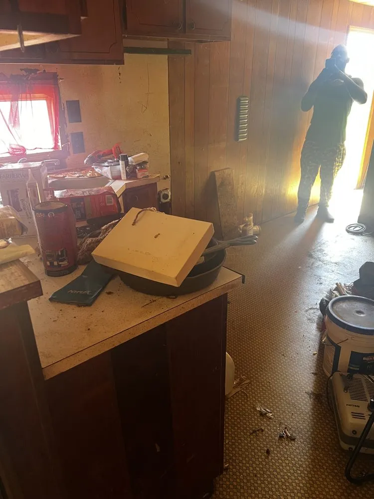 Top-rated outdoor landscaping for year-round maintenance in Bowling Green, KY by Peace Of Mind