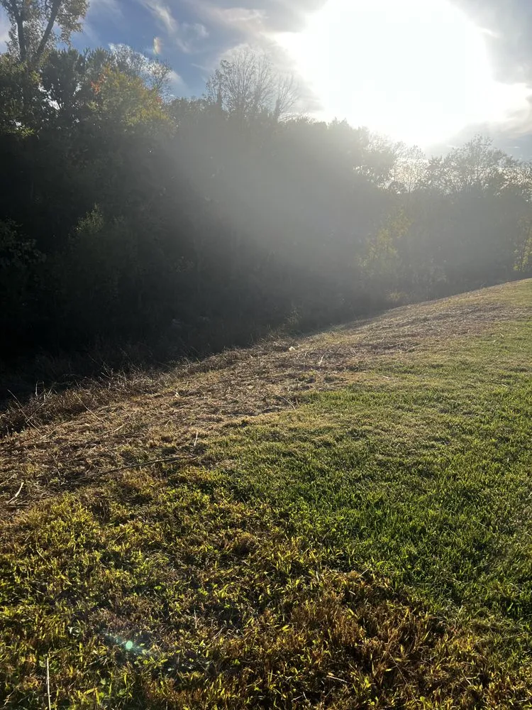 Expert landscape installation for beautiful yards in Bowling Green, KY by Peace Of Mind