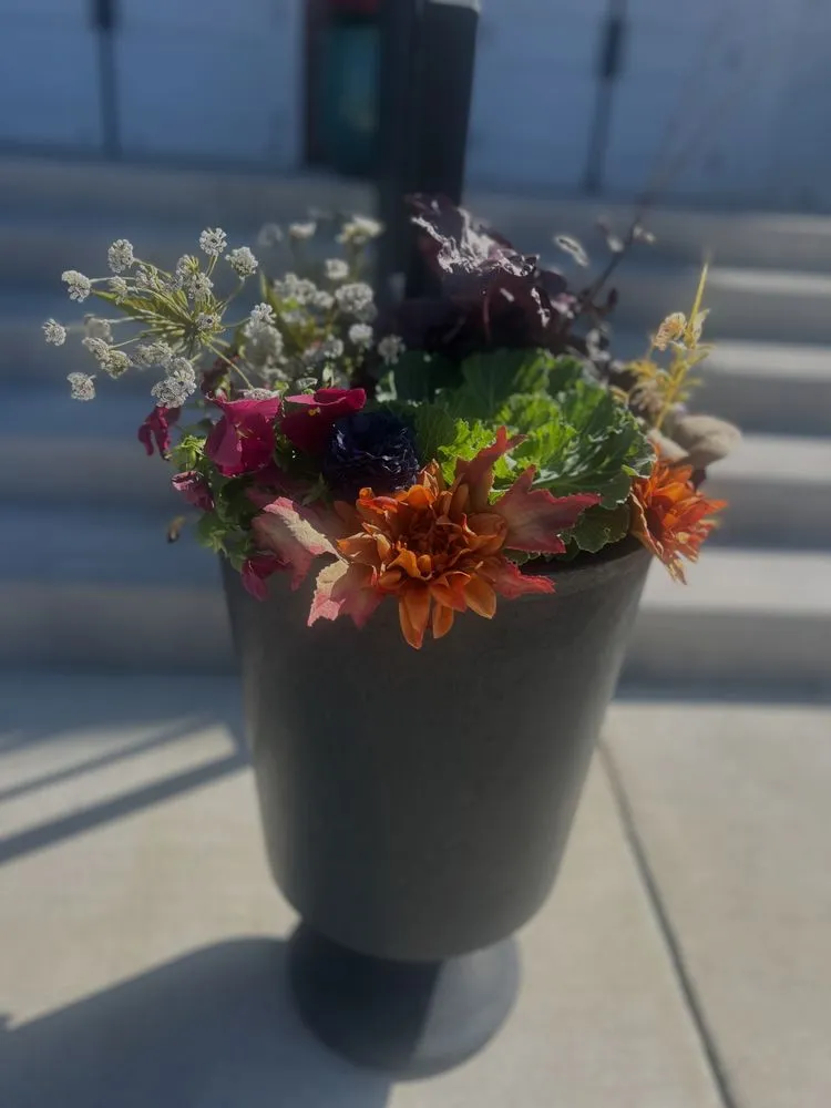 Top-rated outdoor landscaping experts serving Ellicott City, MD - Peace of Mind Gardens