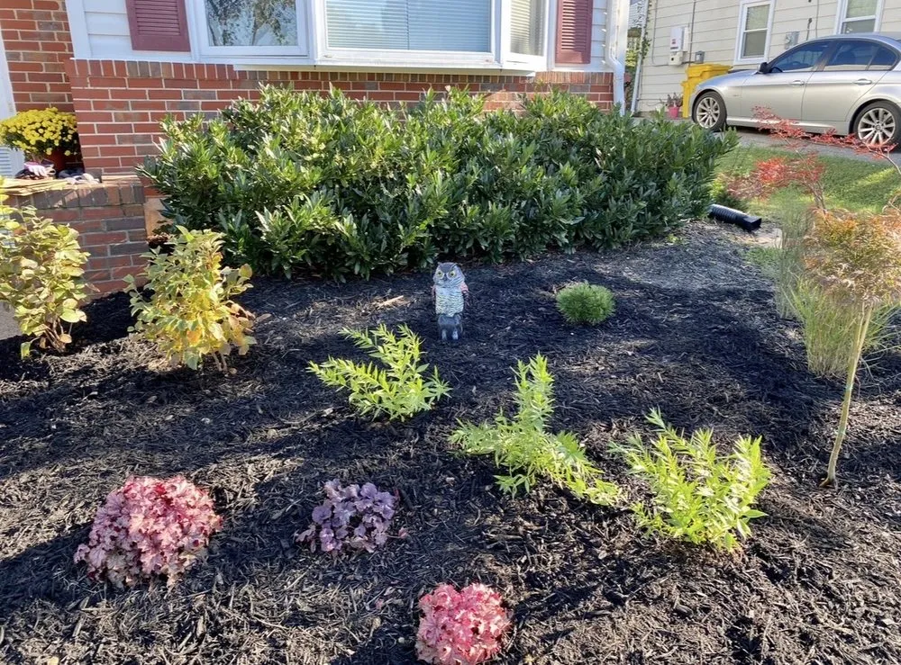 Expert outdoor landscaping for residential properties across Ellicott City, MD - Peace of Mind Gardens