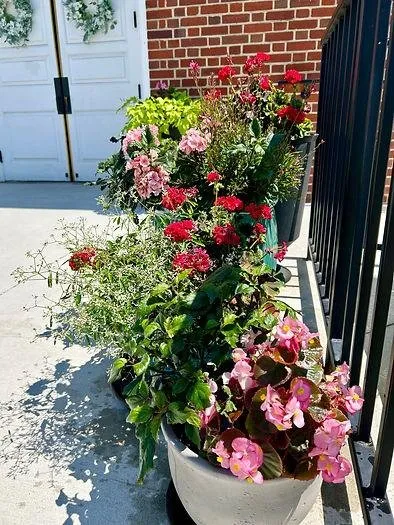 Professional yard maintenance experts serving Ellicott City, MD - Peace of Mind Gardens